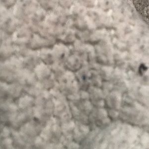 Meet your Posher, Jasmine